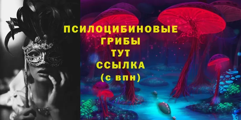 MEGA как зайти  Старый Крым  Псилоцибиновые грибы Psilocybe  даркнет сайт 